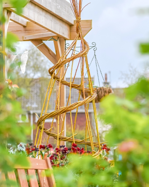 Charlton Road Allotments